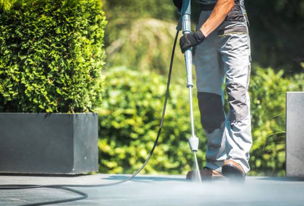 Best Gutter Cleaning  in Watsessing, NJ